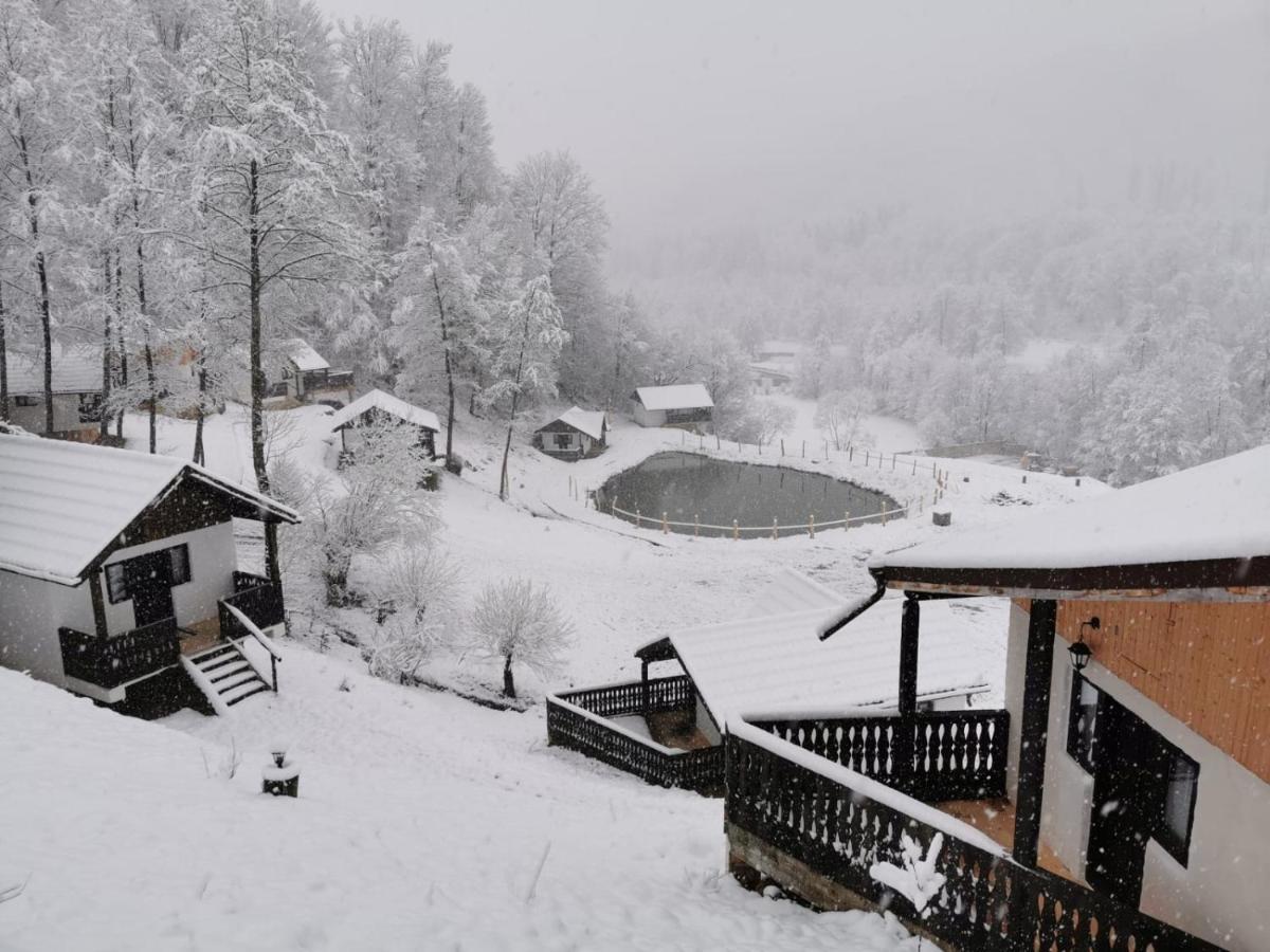 Hotel Satu Muscelean à Albestii de Muscel Extérieur photo
