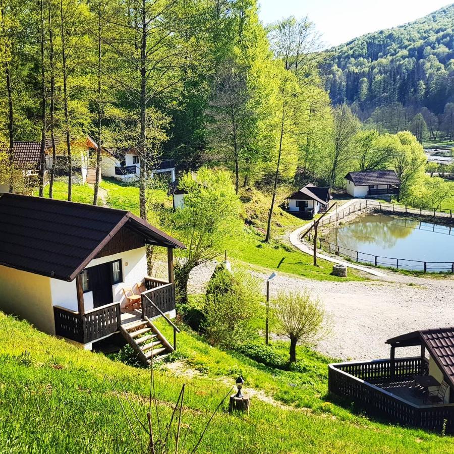 Hotel Satu Muscelean à Albestii de Muscel Extérieur photo